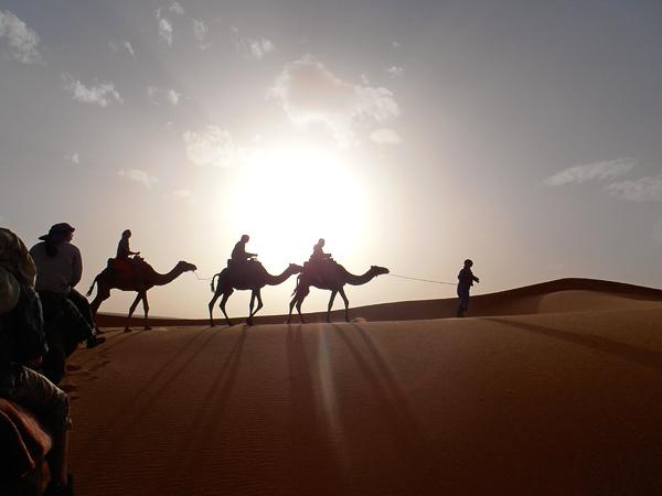 在摩洛哥骑骆驼